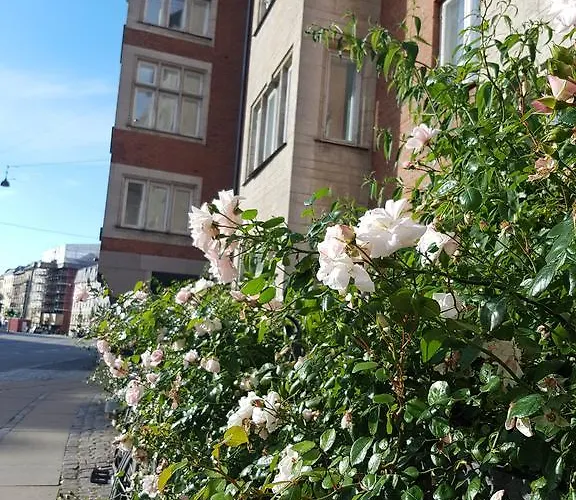 Apartment Aaboulevard Kopenhagen